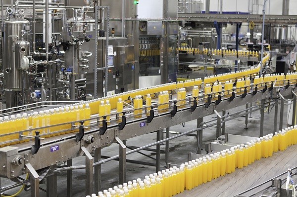 Packed bottles moving on conveyor belt in bottling industry